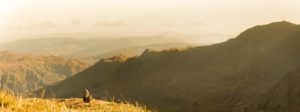 Anamorphic shot on a mountain top. Tom Milton