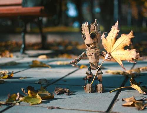Fall Leaves and Toy Photography