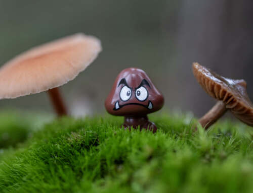 Fun with Fungi: Mushrooms and Toy Photography 