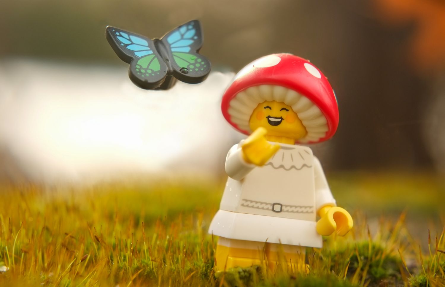 A LEGO mushroom sprite minifigure letting a LEGO butterfly go.