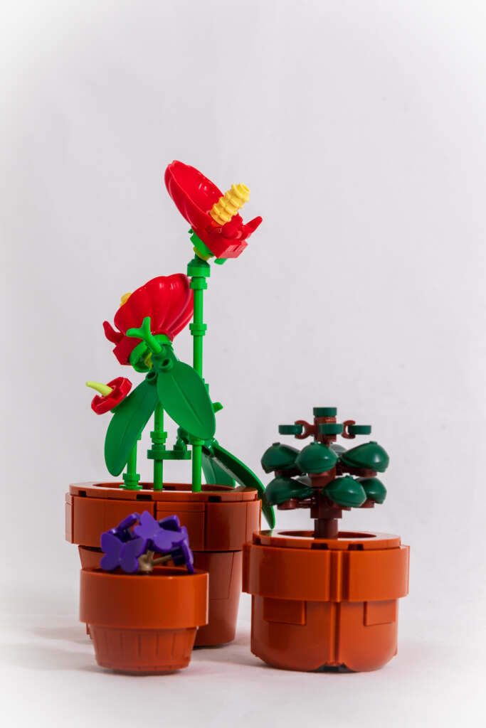 Picture of three LEGO built plants: Laceleaf (Anthurium andraeanum), False Shamrock (Oxalis triangularis), Jade Plant (Crossula Ovata)