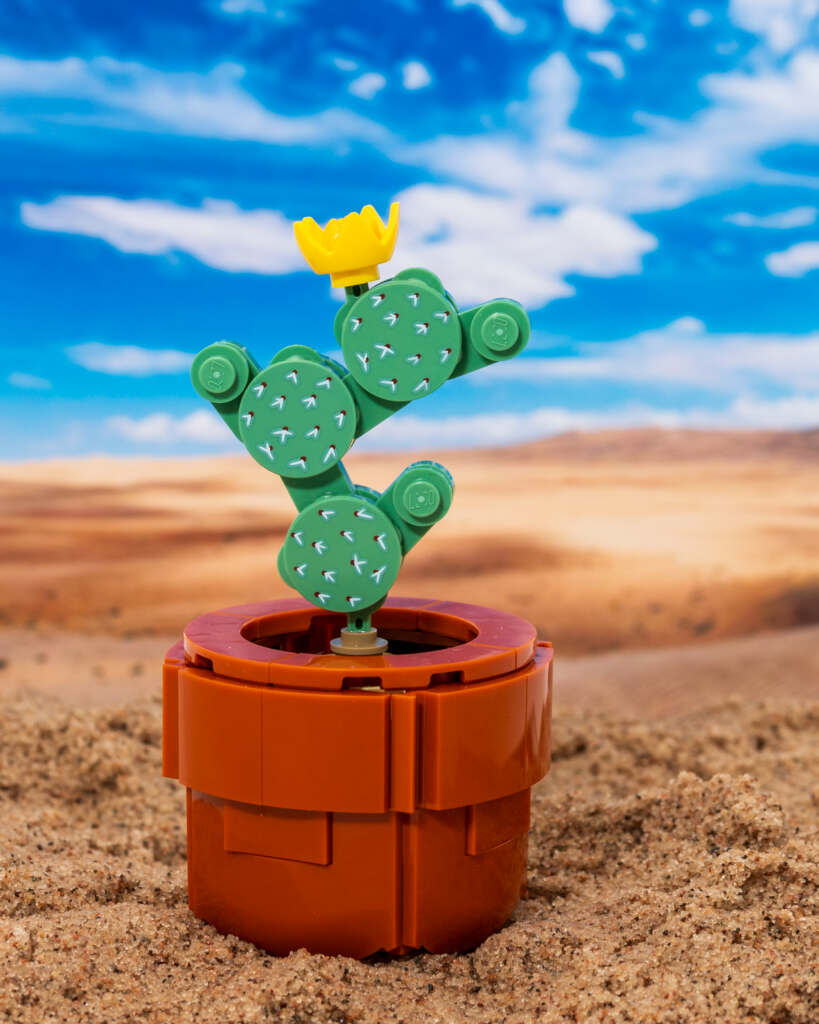 A LEGO brick built model of Pincushion Cactus