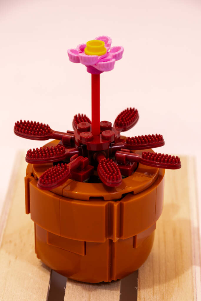 Details of LEGO brick built model of Red Sundew (Drosera brevifolia) 