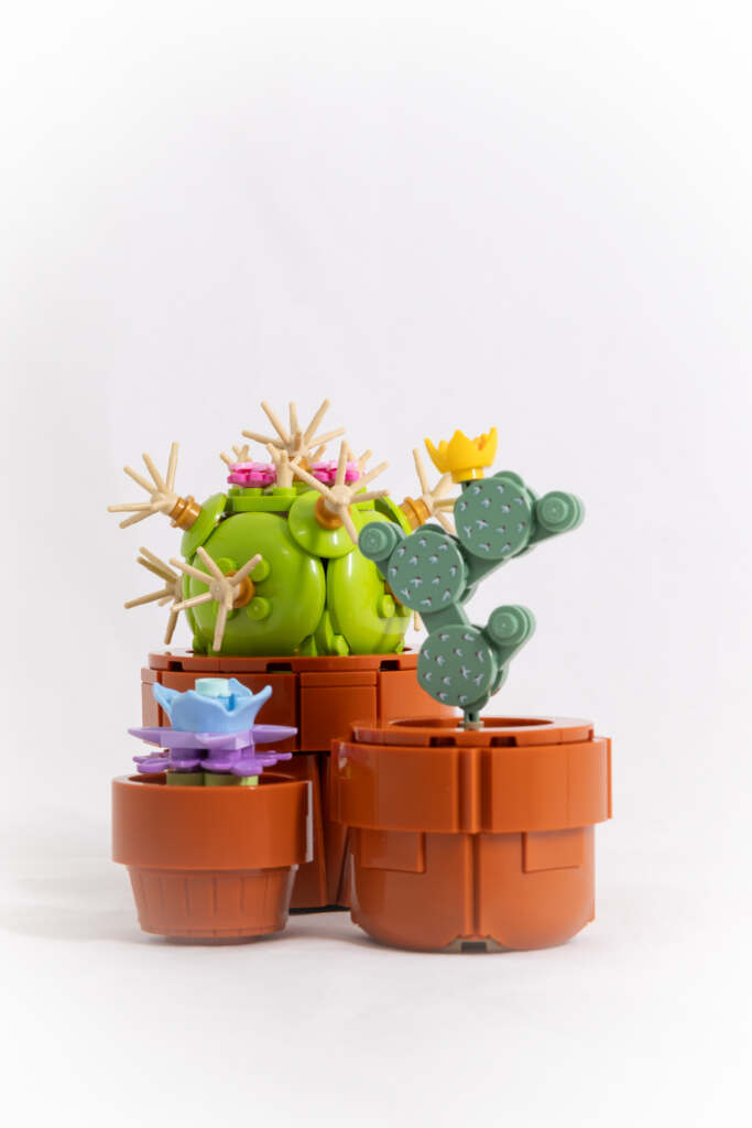 Picture of three LEGO built plants: Britton’s LiveForever (Dudleya Britonii), Eastern Prickly Pear (Opuntia humifusa), Pinchushion Cactus (Mammilaria crinita zellmanniana)