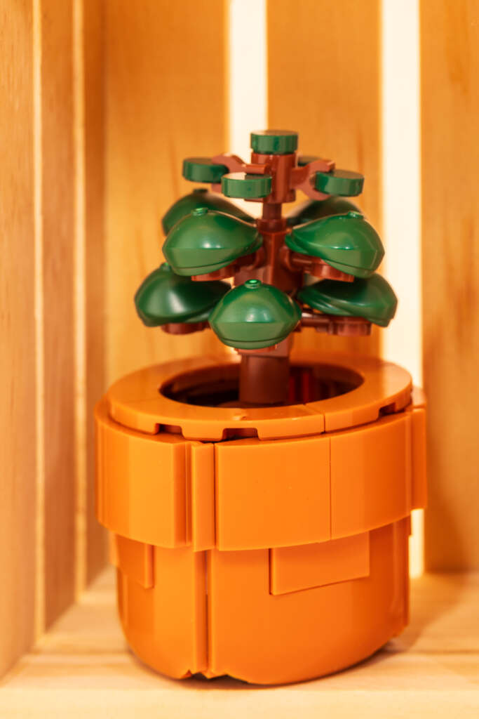 Details of LEGO brick built model of Jade Plant (Crossula Ovata)