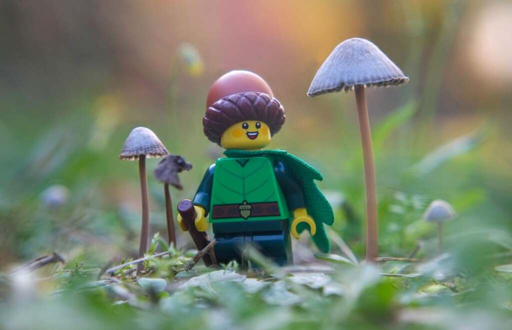 Lego 22nd CMF series Forest Elf encountering various mishroooms.