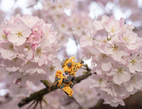 Toy Photography in the Spring