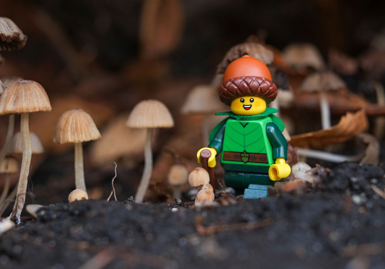 Lego 22nd CMF series Forest Elf encountering various mishroooms.