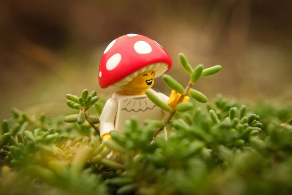 Lego 25th CMF series Mushroom Sprite playing with plant.
