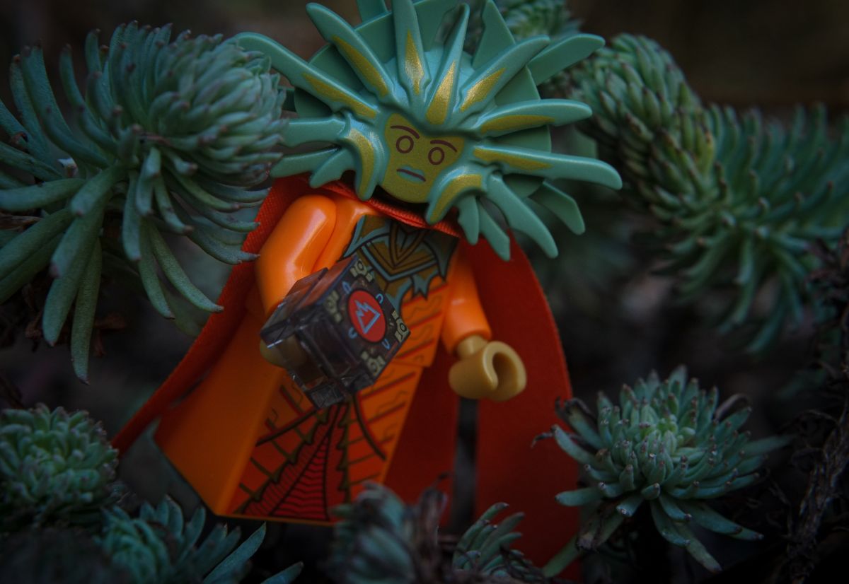 LEGO Lady of Pain among flowers that look like her head piece