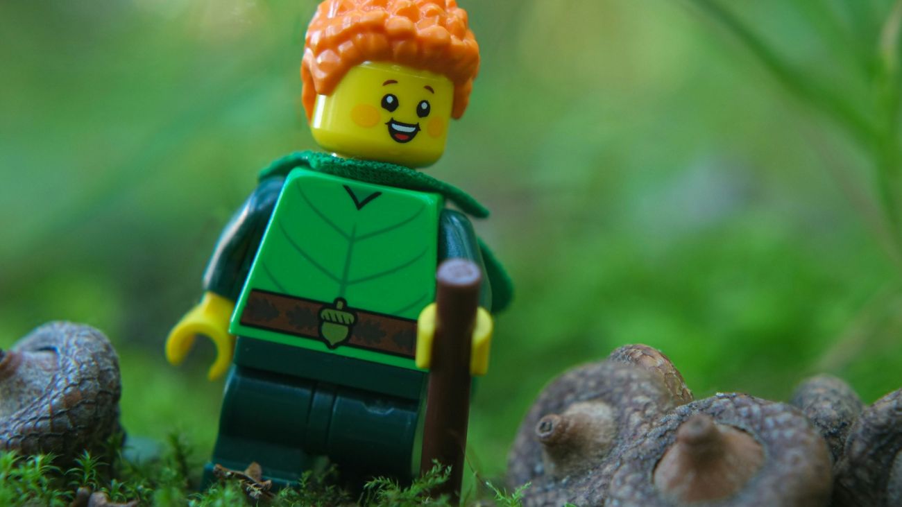 A forest elf LEGO minifigure comes across a handful of unripe acorns lying on the moss.