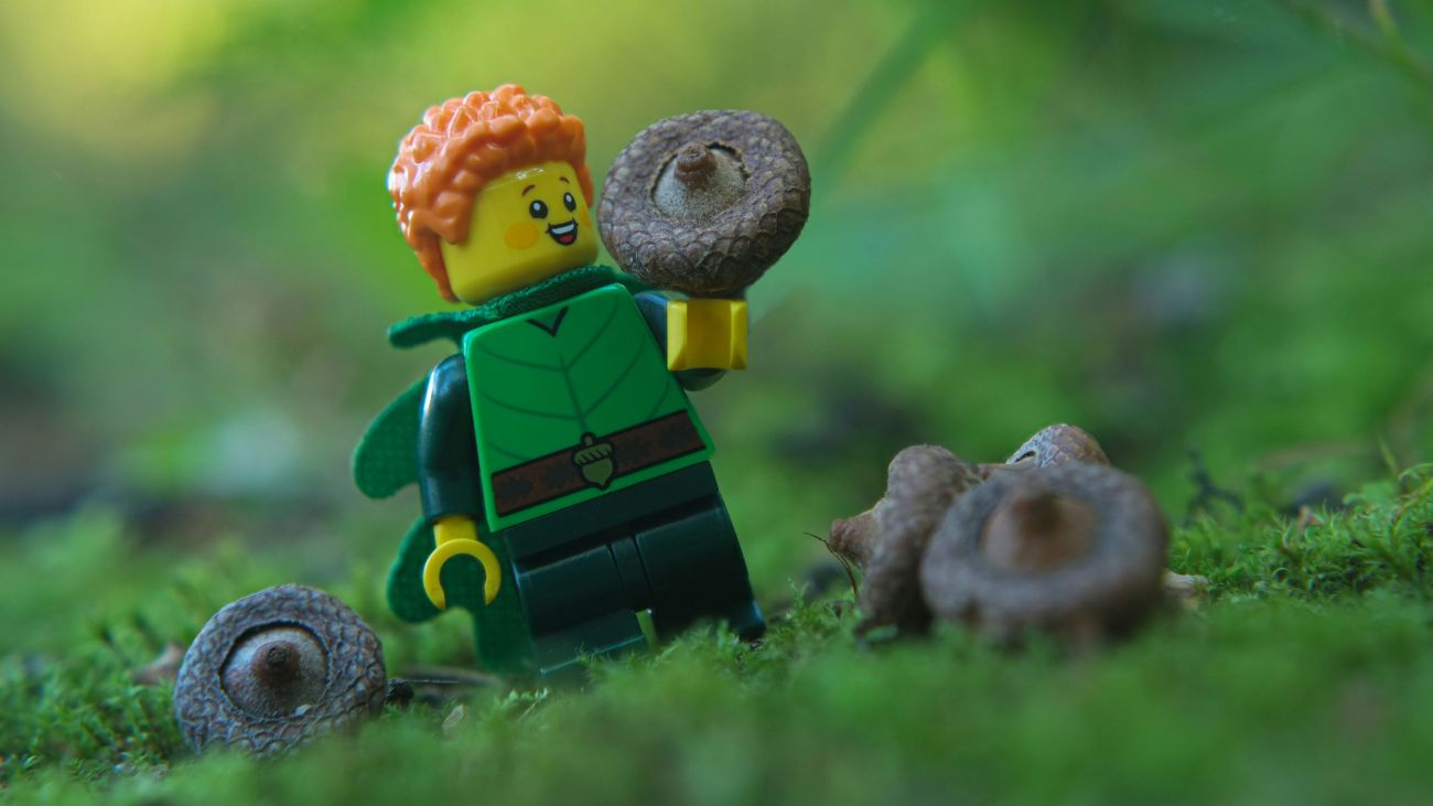 A forest elf LEGO minifigure picks up one of the unripe acorns and looks at it with a smile.