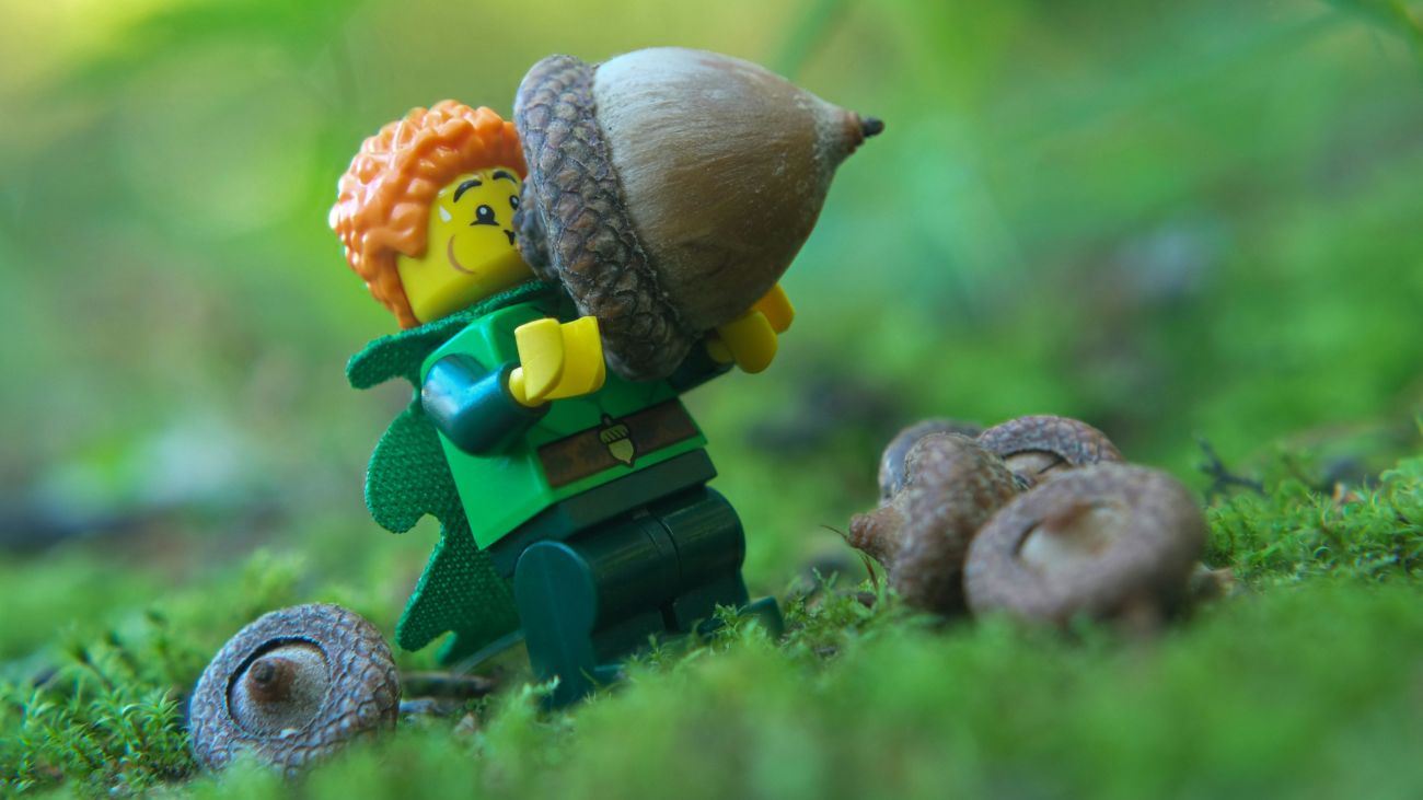 Inflatable acorn swells and takes shape in the hands of the forest elf LEGO minifigure.