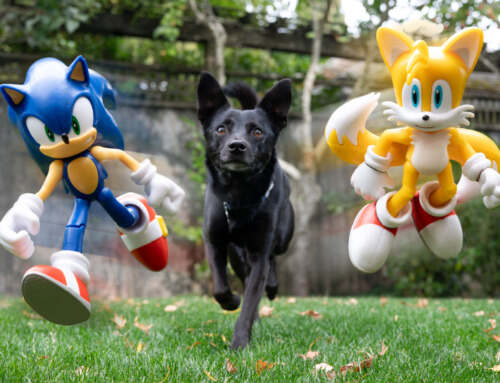 Going Fast With Sonic and Tails – Getting motion with your toys