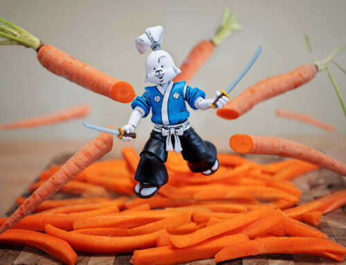 Adventures with NECA’s Usagi Yojimbo Action Figure