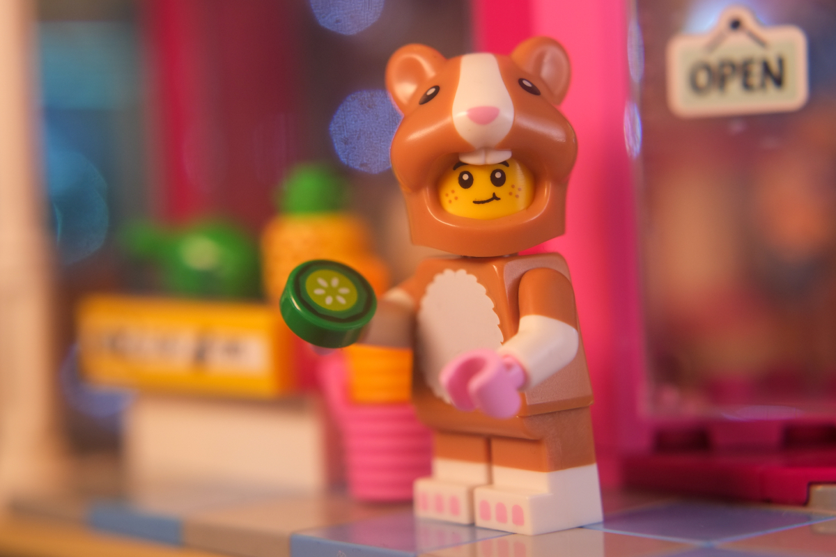 Smiling Hamster Costume Fan minifigure in brick built environment.