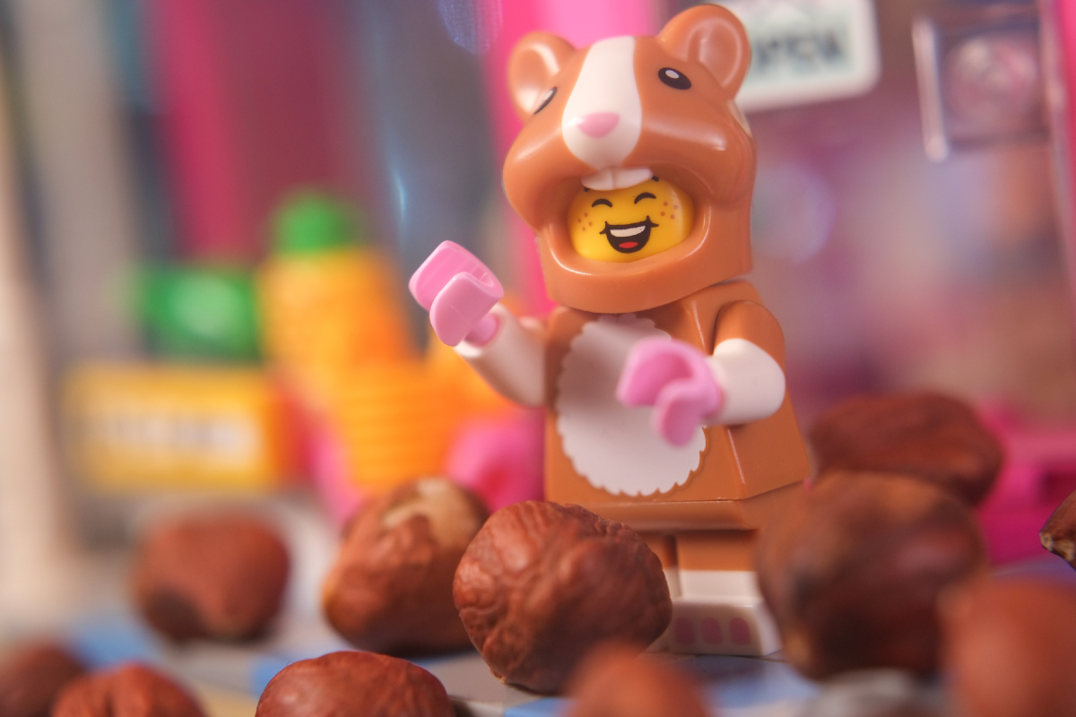 Laughing Hamster Costume Fan minifigure in brick built environment.