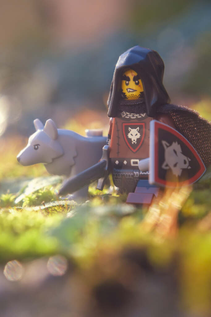 Wolfpack Beastmaster minifigure in natural environment, in sunlight.