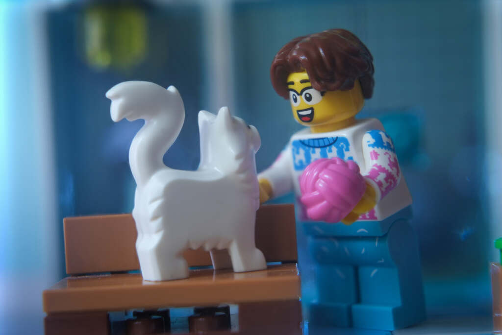 Cat Lover minifigure shows a ball of wool to the cat standing on the bench.