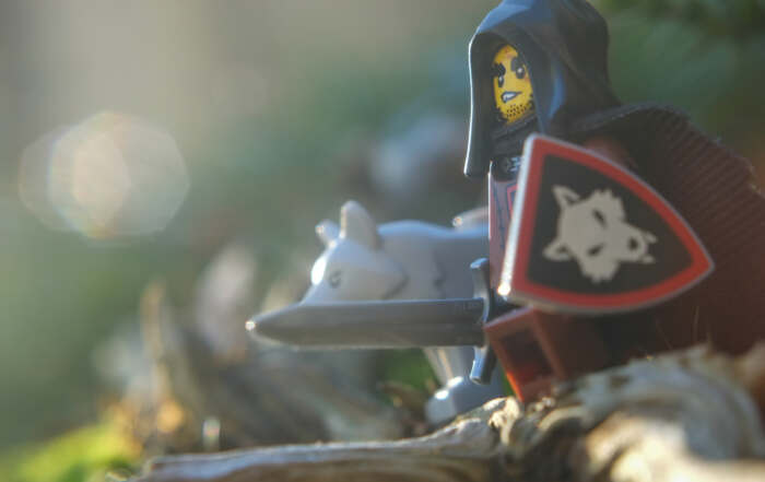 a LEGO Wolfpack Beastmaster from 27th series of CMF with wolf, standing on the log in the sunlight