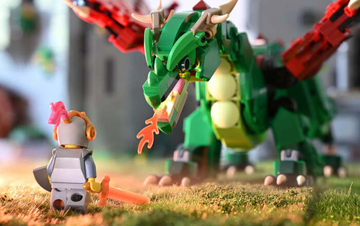 Brave little knight