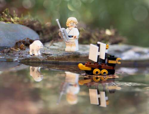 Add foreground interest to your images