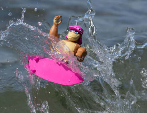 Surfing with Thrilla Gorilla The Action Figure