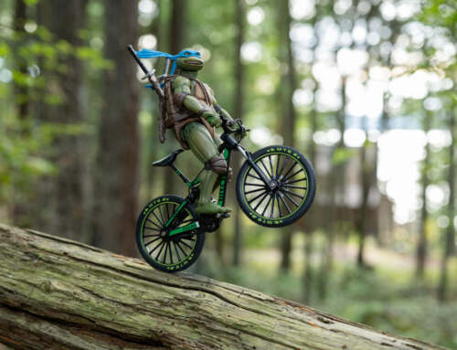 TMNT Vacations: Leonardo Goes Mountain Biking