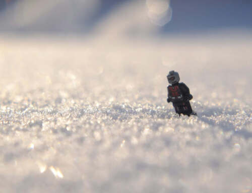 Jantmanuary – a Six Image Narr-ant-ive