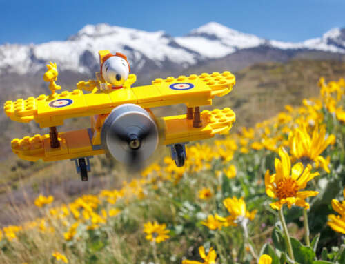 2026 MeWe Bingo Challenge!