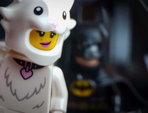 Animal Collective  – a 28th series of CMF photo review