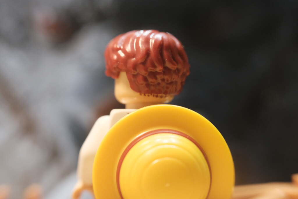 Shanks Saves Luffy LEGO @theperryadventures